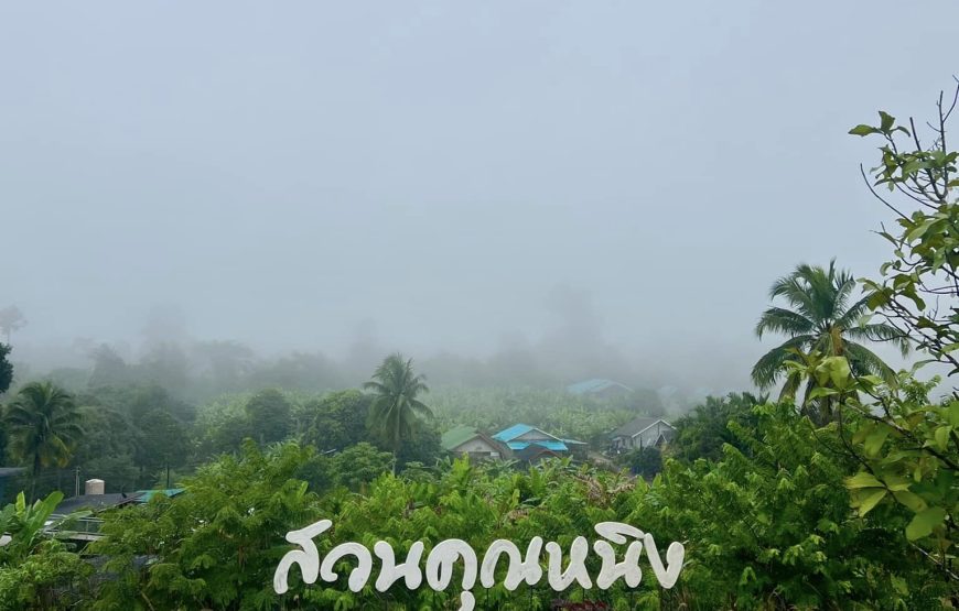 จิบแฟ แลเขา Camping สวนคุณหนิง